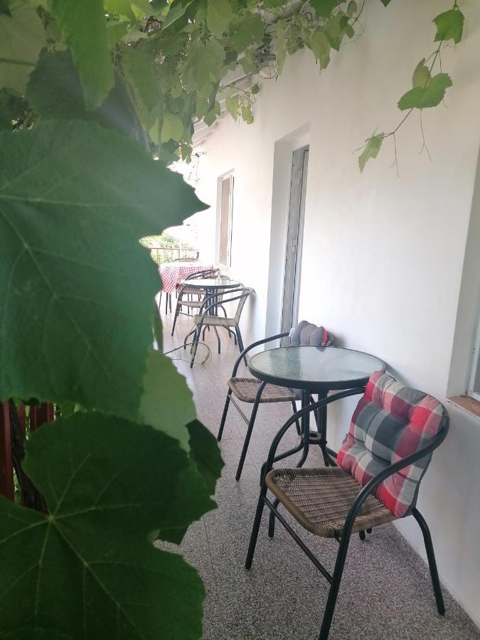 Vila Didi, Mangalia Exterior foto