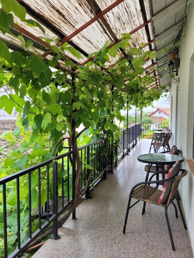 Vila Didi, Mangalia Exterior foto