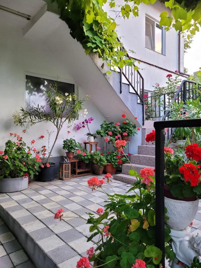 Vila Didi, Mangalia Exterior foto